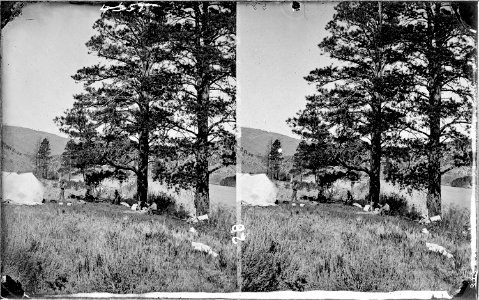 Green River. Red Canyon Park. (similar to 57-PS-518 Hillers Sewing). The camp tent is on the left - NARA - 517869