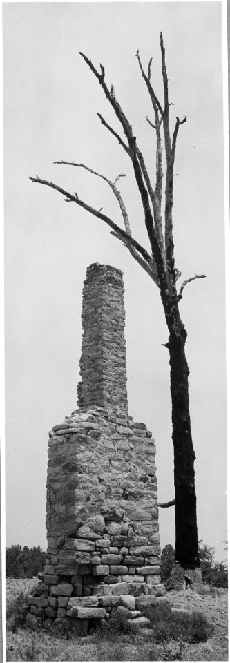 Harmony Community, Putnam County, Georgia. Abandonment has been going on for a long time in Putnam . . . - NARA - 521288