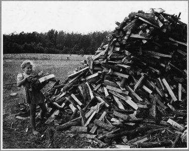 Harmony Community, Putnam County, Georgia. Children are scarce in this community of aging people. Mo . . . - NARA - 521259