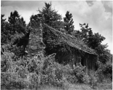 Harmony Community, Putnam County, Georgia. Abandonment has been going on for a long time in Putnam C . . . - NARA - 521287