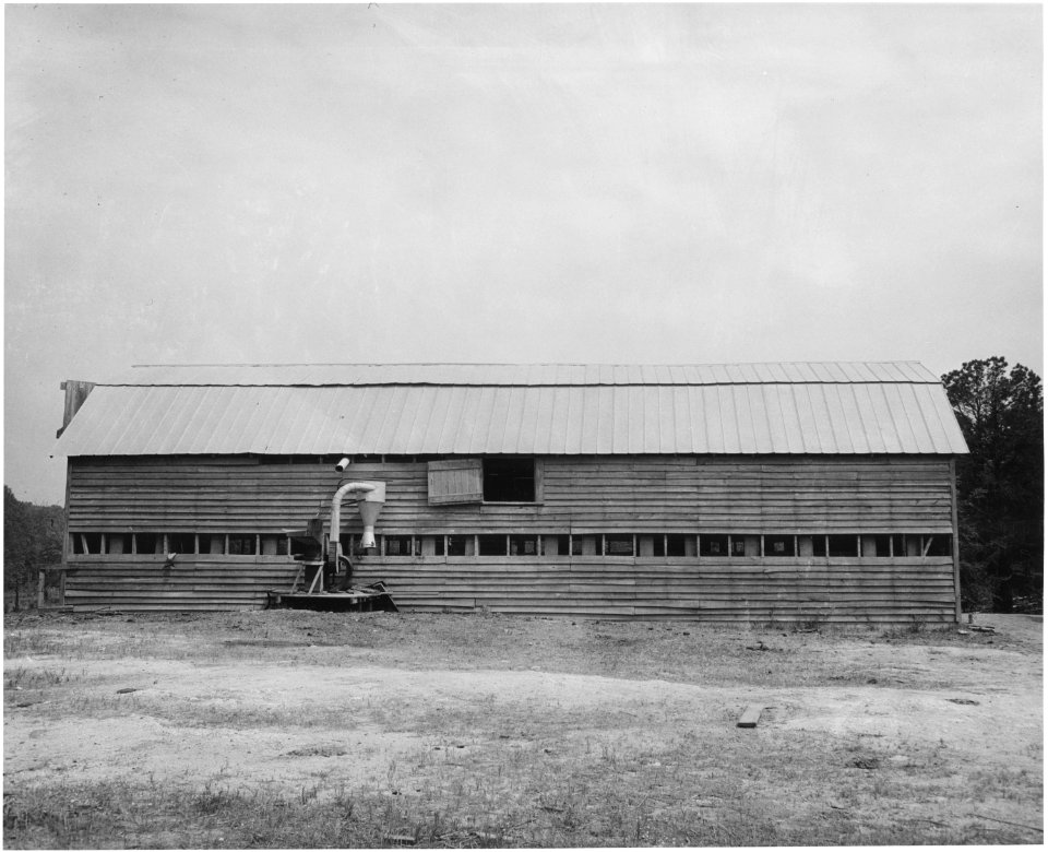 Harmony Community, Putnam County, Georgia. Dairying is the last hope of Putnam County owner-operator . . . - NARA - 521305 photo