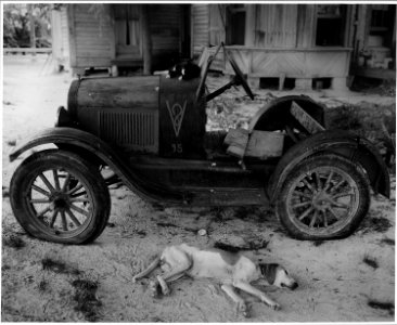 Harmony Community, Putnam County, Georgia. Front yard of a white tenant's home. The Ford was cut dow . . . - NARA - 521261