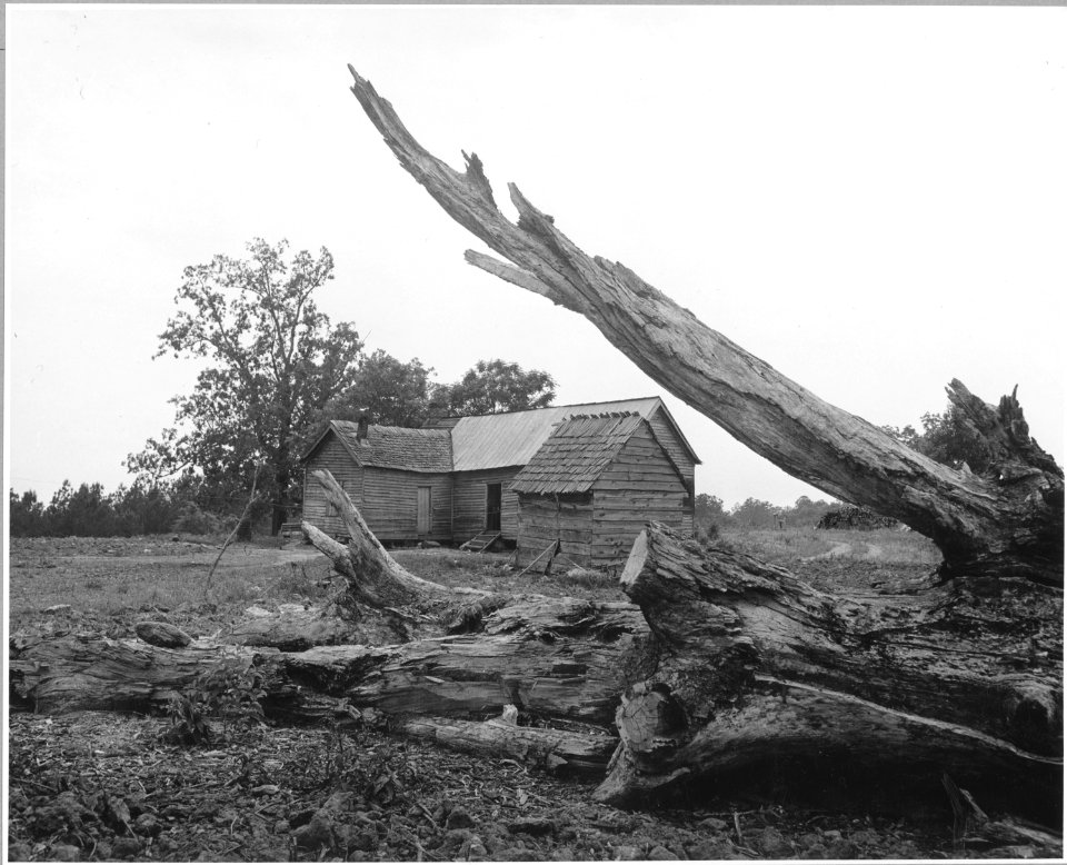 Harmony Community, Putnam County, Georgia. Here is a representative sample of the dwellings in which . . . - NARA - 521275