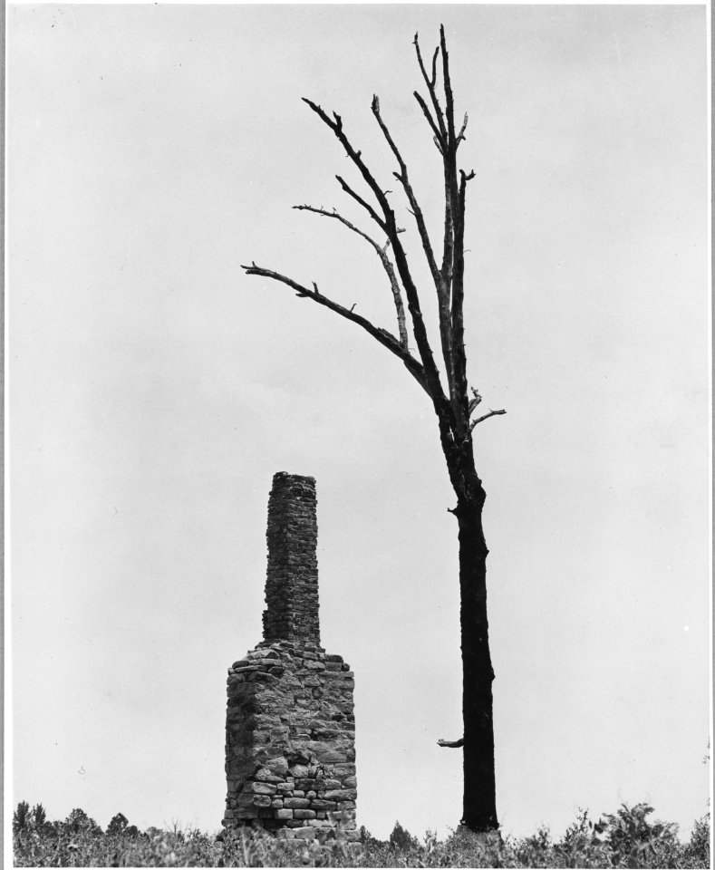 Harmony Community, Putnam County, Georgia. Abandonment has been going on for a long time in Putnam C . . . - NARA - 521290