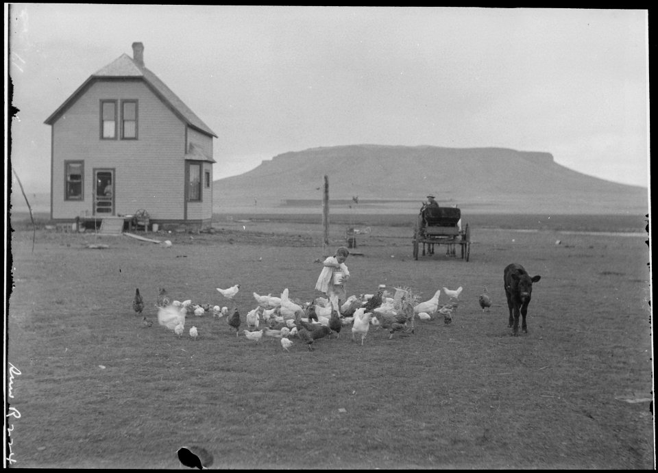 Hancock homestead. Settler from Benson, Minn