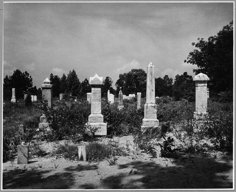 Harmony Community, Putnam County, Georgia. The graveyard at the Harmony Church. - NARA - 521396