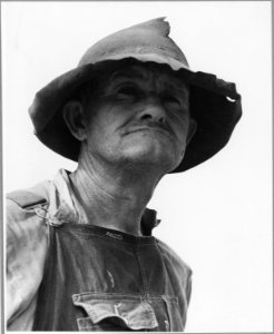 Harmony Community, Putnam County, Georgia. Tenant farmers in or near the Harmony Community. - NARA - 521358