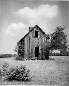 Harmony Community, Putnam County, Georgia. Abandonment has been going on for a long time in Putnam C . . . - NARA - 521289