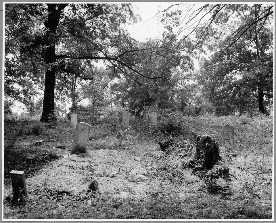 Harmony Community, Putnam County, Georgia. An old Negro cemetery back of the Jefferson Church. There . . . - NARA - 521389
