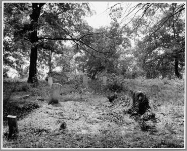 Harmony Community, Putnam County, Georgia. An old Negro cemetery back of the Jefferson Church. There . . . - NARA - 521389 photo