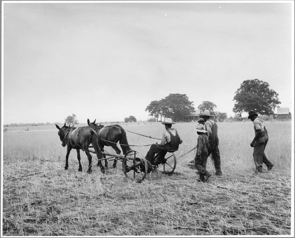 Harmony Community, Putnam County, Georgia.... Binders are not uncommon on large farms, but those who . . . - NARA - 521330