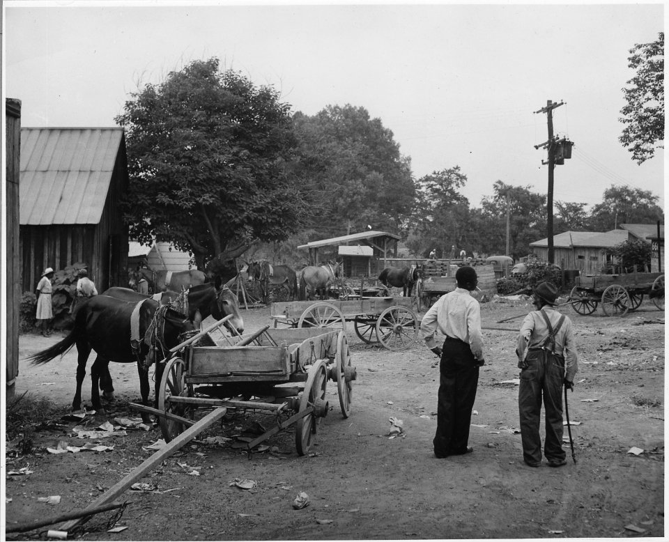 Harmony Community, Putnam County, Georgia. The hitching lot is back of the buildings facing on the c . . . - NARA - 521241