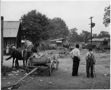 Harmony Community, Putnam County, Georgia. The hitching lot is back of the buildings facing on the c . . . - NARA - 521241