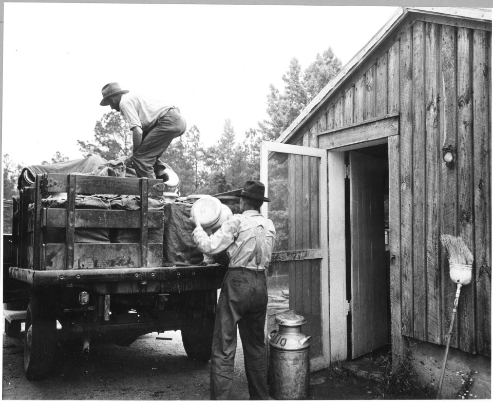 Harmony Community, Putnam County, Georgia.... All dairymen belong to the local cooperative in Eatont . . . - NARA - 521311