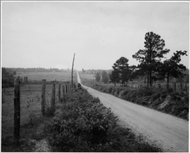 Harmony Community, Putnam County, Georgia. View around Harmony. - NARA - 521434