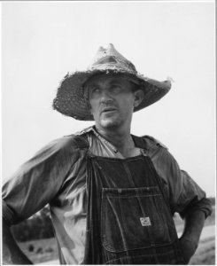 Harmony Community, Putnam County, Georgia.... Tenant farmers in or near the Harmony Community. - NARA - 521354