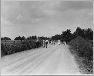 Harmony Community, Putnam County, Georgia.... Most of the (African-American) people in the community . . . - NARA - 521381 photo