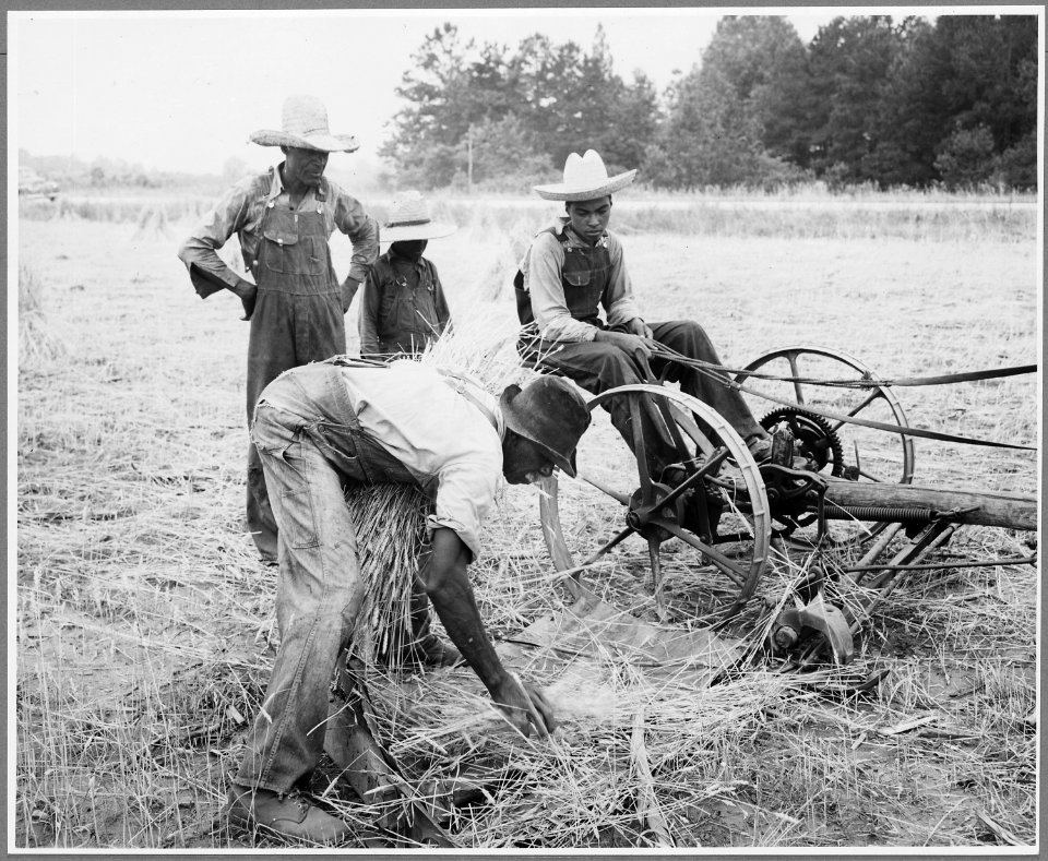 Harmony Community, Putnam County, Georgia.... Binders are not uncommon on large farms, but those who . . . - NARA - 521328