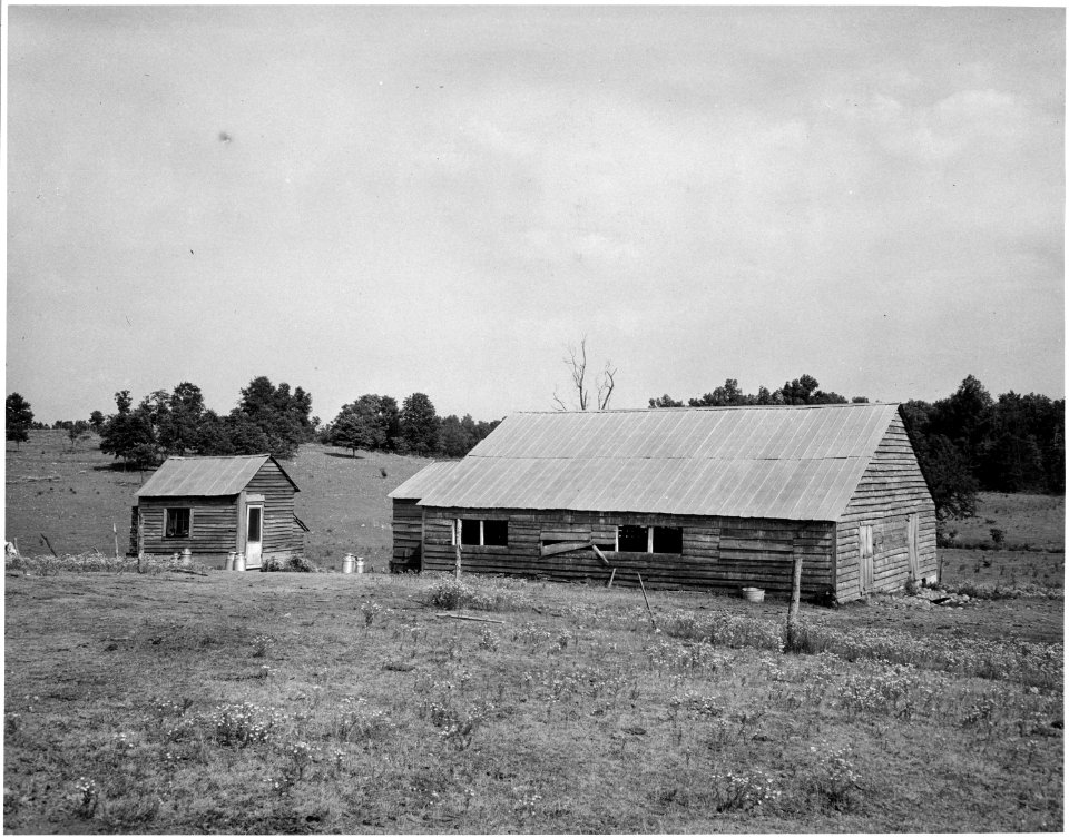 Harmony Community, Putnam County, Georgia.... Dairying is the last hope of Putnam County owner-opera . . . - NARA - 521304
