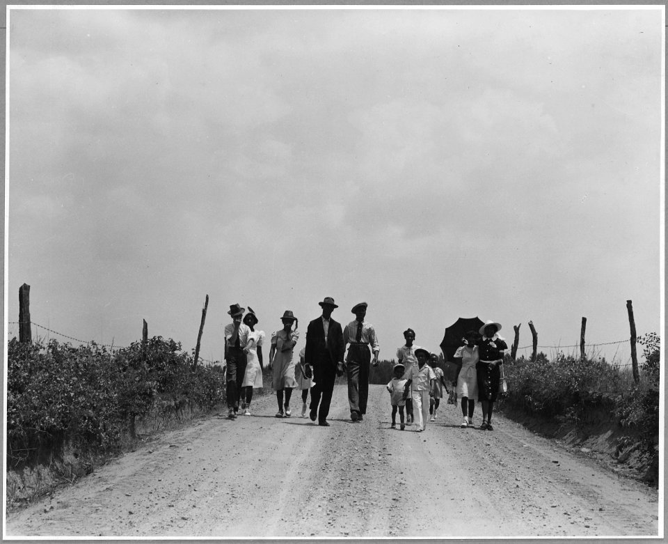 Harmony Community, Putnam County, Georgia.... Most of the (African-American) people in the community . . . - NARA - 521380