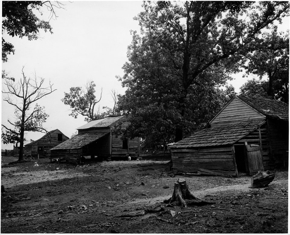 Harmony Community, Putnam County, Georgia.... Though the home of white operators range from shacks . . . - NARA - 521298