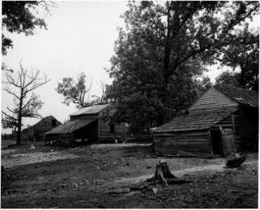 Harmony Community, Putnam County, Georgia.... Though the home of white operators range from shacks . . . - NARA - 521298 photo