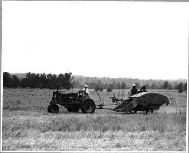Harmony Community, Putnam County, Georgia.... There are not many combines in Putnam County because m . . . - NARA - 521321