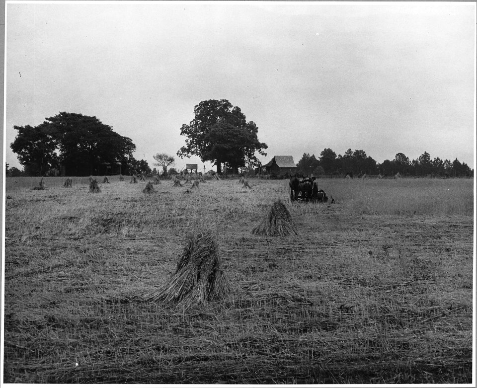 Harmony Community, Putnam County, Georgia.... Binders are not uncommon on large farms, but those who . . . - NARA - 521332