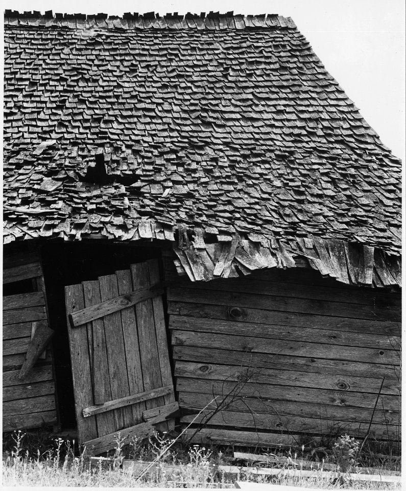 Harmony Community, Putnam County, Georgia.... Though the home of white operators range from shacks . . . - NARA - 521299