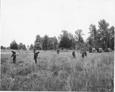 Harmony Community, Putnam County, Georgia.... These are (African-American) CCC boys working in a fie . . . - NARA - 521319