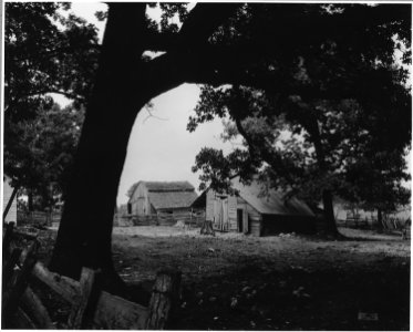 Harmony Community, Putnam County, Georgia.... Though the home of white operators range from shacks . . . - NARA - 521300