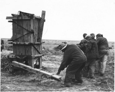Haskell County, Kansas. Bailing sorghum stalks that were left out over the Winter. The heads are tri . . . - NARA - 522103