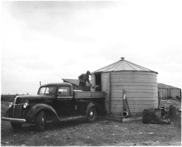 Haskell County, Kansas. Loading shelled corn into an empty granary. - NARA - 522105 photo