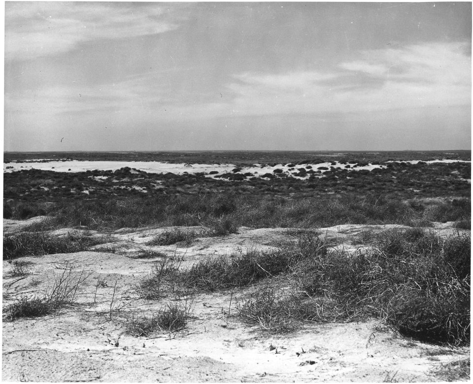 Haskell County, Kansas. The sand hills, in the Northwestern part of the county. Here the land is of . . . - NARA - 522112