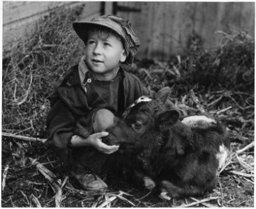 Haskell County, Kansas. The two children shown... are brother and sister. Their father is a tenant f . . . - NARA - 522126