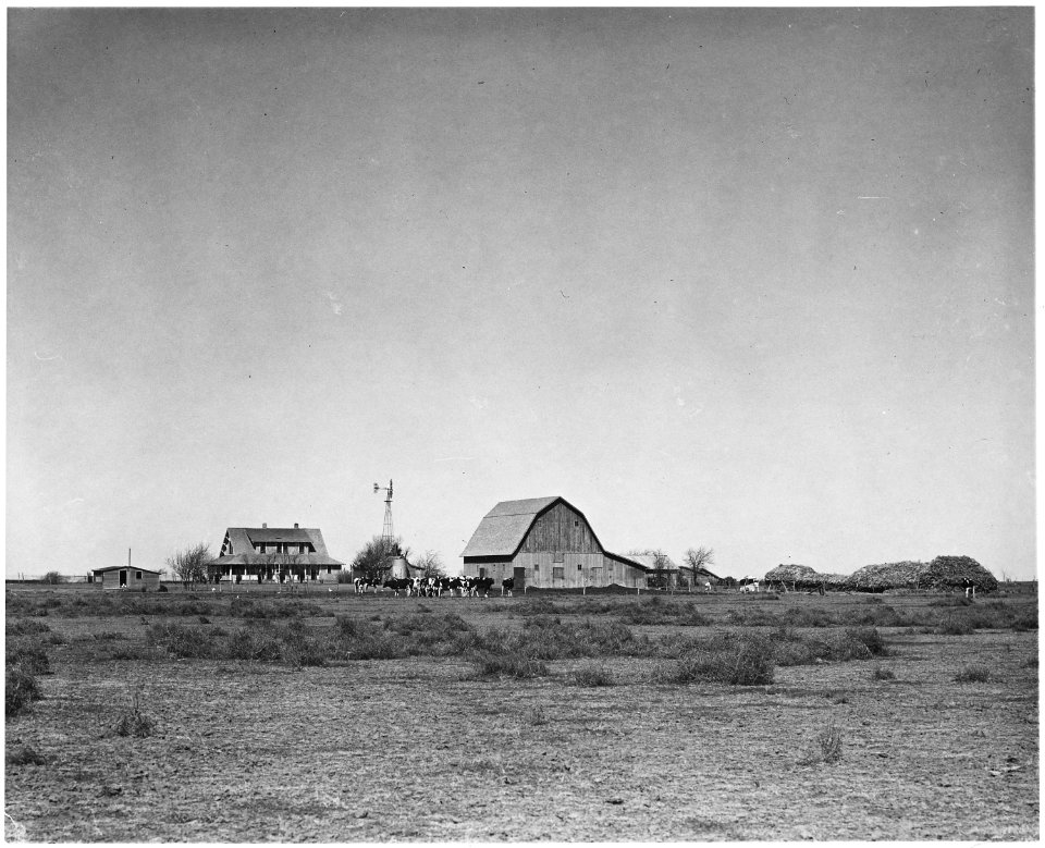 Haskell County, Kansas. This place...belong(s) to Mennonite farmers, of whom there are several in th . . . - NARA - 522089