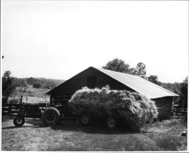 Harmony Community, Putnam County, Georgia.... The owner of Harmony's best farm brings in his oat hay . . . - NARA - 521335 photo