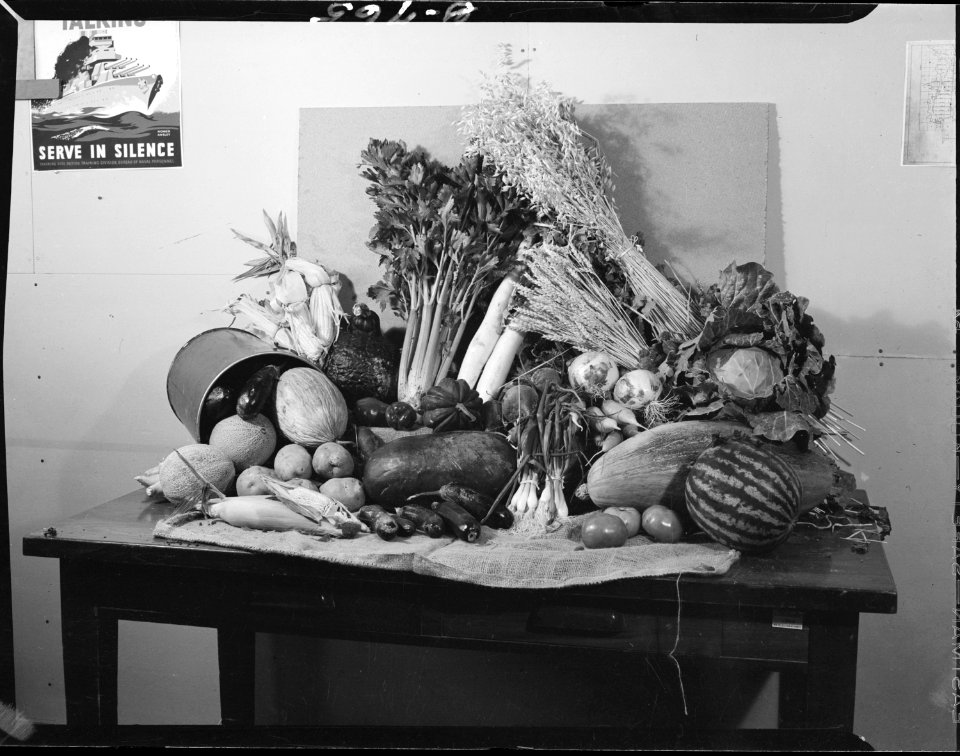 Heart Mountain Relocation Center, Heart Mountain, Wyoming. Harvest is on at Heart Mountain. This . . . - NARA - 539594