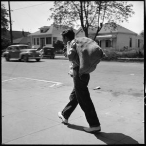 Hayward, California. Youth on Relief. High School student calling for surplus commodities for his family on relief.... - NARA - 532125