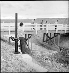 Heart Mountain Relocation Center, Heart Mountain, Wyoming. A group of center residents watch from t . . . - NARA - 539405
