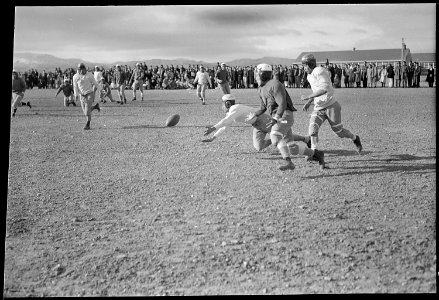 Heart Mountain Relocation Center, Heart Mountain, Wyoming. An exciting moment during a Heart Mounta . . . - NARA - 539462