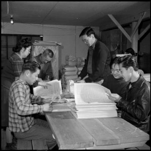 Heart Mountain Relocation Center, Heart Mountain, Wyoming. Assembling and folding the Sentinel, Hea . . . - NARA - 539199