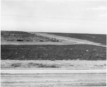 Haskell County, Kansas. Grasshopper damage generally starts by the roadsides and works in. Most such . . . - NARA - 522113