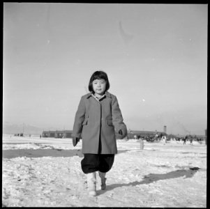 Heart Mountain Relocation Center, Heart Mountain, Wyoming. Home from school goes Reiko Tsujimura. . . . - NARA - 539274