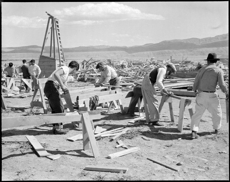 Heart Mountain Relocation Center, Heart Mountain, Wyoming. Salvaging lumber from the scrap pile, th . . . - NARA - 538783