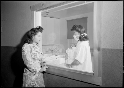 Heart Mountain Relocation Center, Heart Mountain, Wyoming. Mrs. Mari Yoshida looks at her baby thro . . . - NARA - 539442 photo