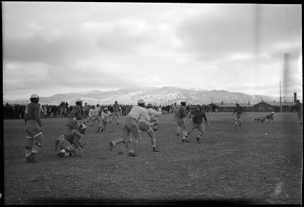 Heart Mountain Relocation Center, Heart Mountain, Wyoming. Scene during a game between the All Sta . . . - NARA - 539460