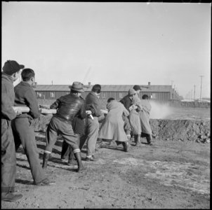 Heart Mountain Relocation Center, Heart Mountain, Wyoming. A crew of firemen and volunteer helpers . . . - NARA - 539236