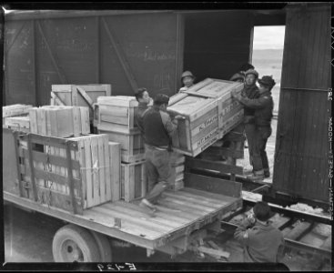 Heart Mountain Relocation Center, Heart Mountain, Wyoming. Husky evacuee lads unloading personal be . . . - NARA - 538785