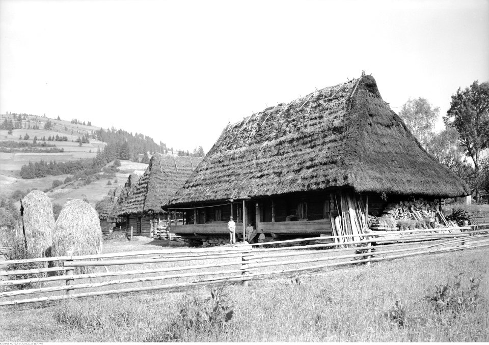 Henryk Poddębski - Chata w Tarnawce (131-1966)